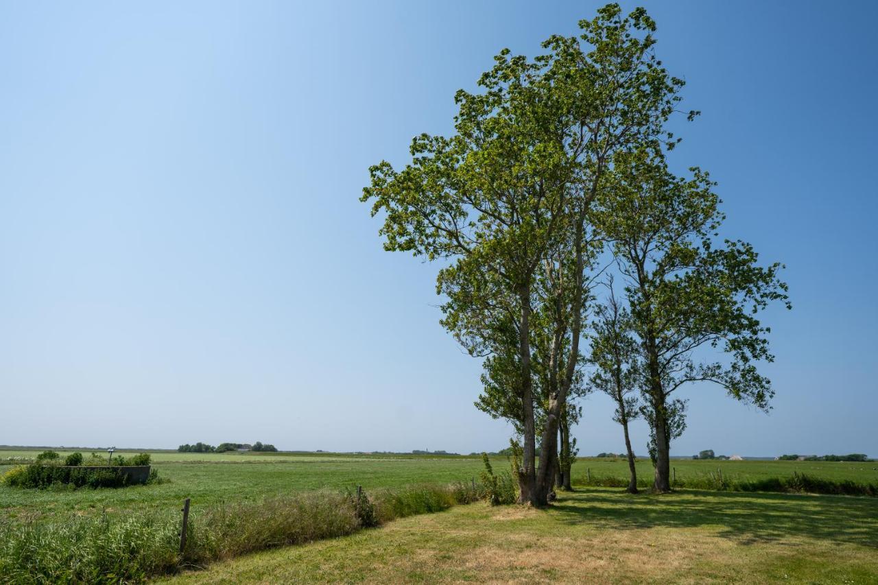 Johanneshoeve - De Mooiste Plek Op Texel Den Hoorn  Eksteriør bilde